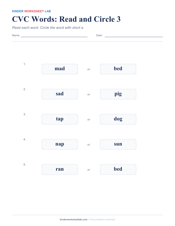 CVC worksheet preview