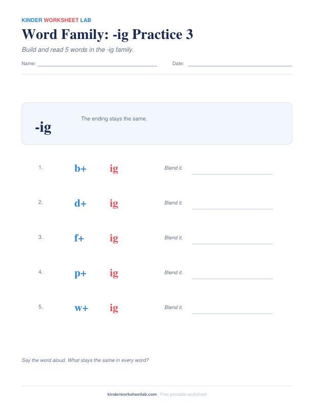 Word Family: -ig Practice 3 worksheet preview